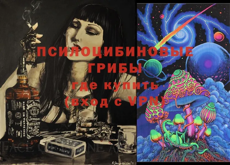 OMG ссылки  Онега  Псилоцибиновые грибы Psilocybine cubensis 